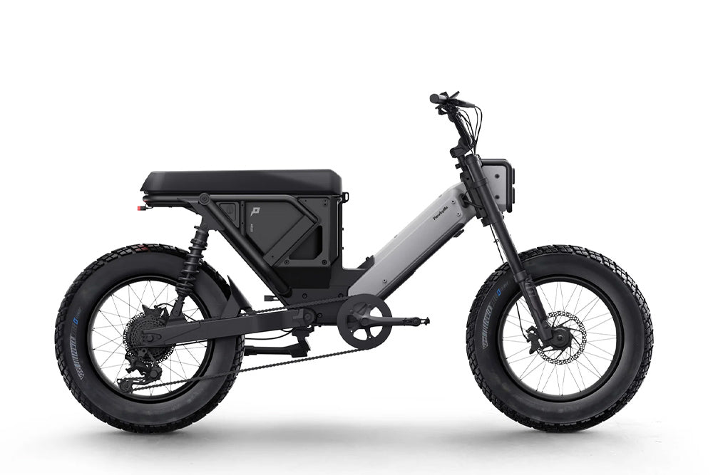 Pawkymo AR20
