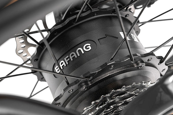 <p>Stable and reliable Bafang motor</p>