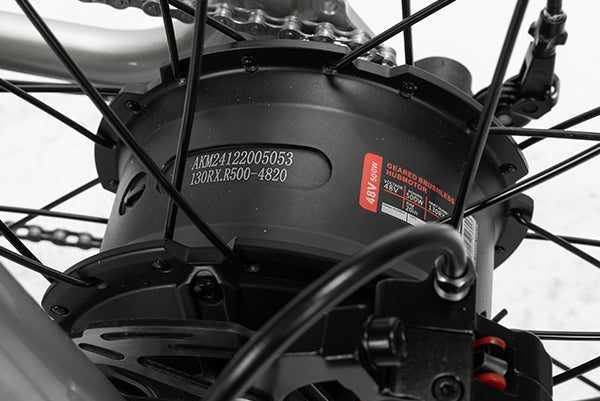 <p>Brushless Hub Motor</p>